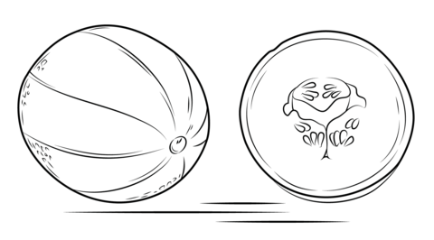 Cantaloupe And Its Cross Section Coloring Page